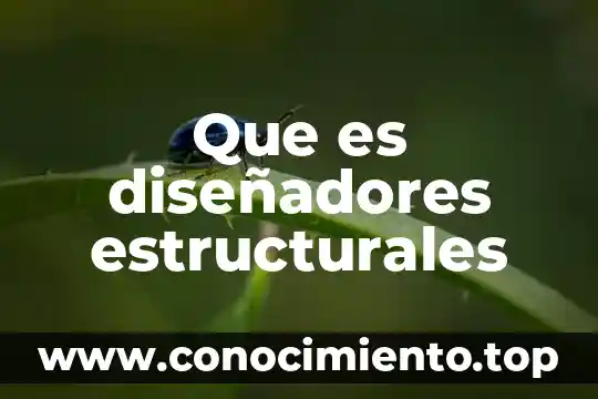 Música de todo tipo que es 3 Que es diseñadores estructurales