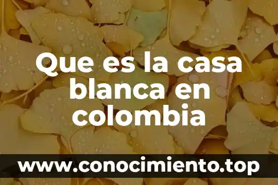 Que es pretina de una casa 4 Que es la casa blanca en colombia