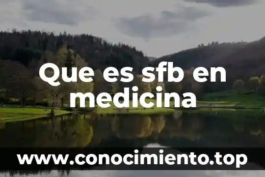 Qué es un caption en publicidad 7 Que es sfb en medicina
