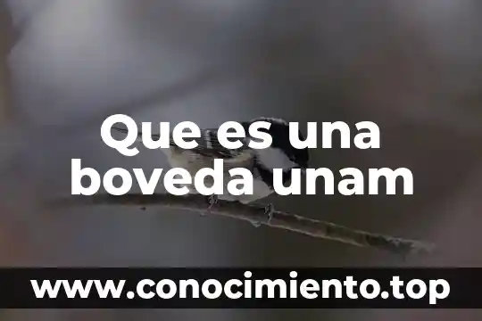 Música de todo tipo que es 4 Que es una boveda unam