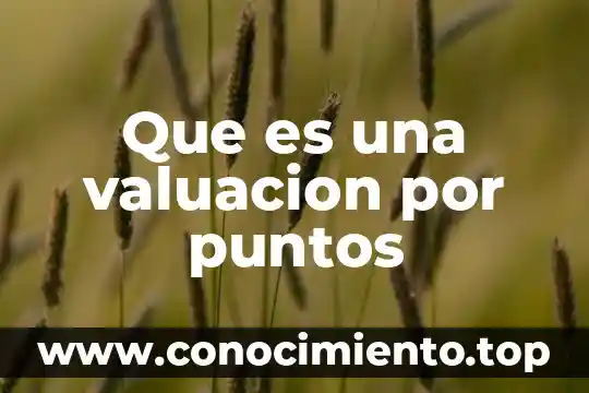 Qué es un caption en publicidad 4 Que es una valuacion por puntos